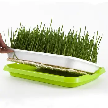 4 Set Seed Sprouting Basins Soilless Sprouter Trays Water Planting Containers Nursery Site for Wheatgrass Soybean Mung Random
4 Set Seed Sprouting Basins Soilless Sprouter Trays Water Planting Containers Nursery Site for Wheatgrass Soybean Mung Random