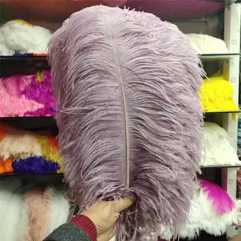 Hot 50 pcs High Quantity Taro Milk 24-26inch/60-65cm "thick Stem" Male Ostrich Feathers DIY Jewelry Craft Making Decoration 
Hot 50 pcs High Quantity Taro Milk 24-26inch/60-65cm "thick Stem" Male Ostrich Feathers DIY Jewelry Craft Making Decoration
