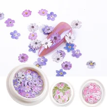 Simulation Dried Flowers Nail Art Color Mixed Flower Wood Pulp Piece Small Daisy Rose Fresh Pastoral Nail Dried Flower Patch
Simulation Dried Flowers Nail Art Color Mixed Flower Wood Pulp Piece Small Daisy Rose Fresh Pastoral Nail Dried Flower Patch