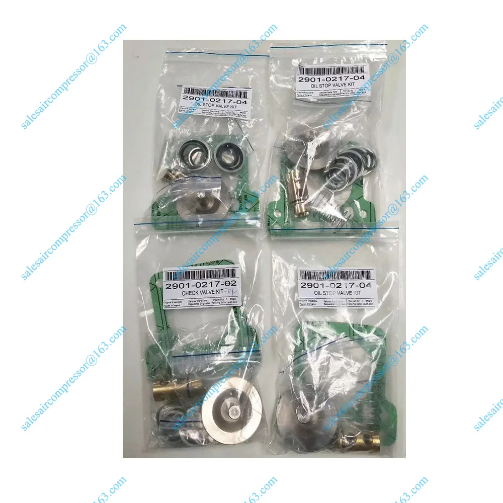 2901021704 chek valve1
