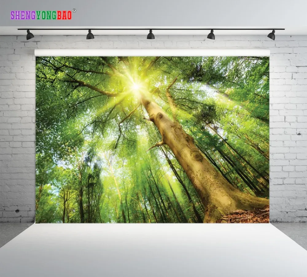 SHUOZHIKE Vinyl Custom Photography Backdrops Prop Scenery theme Photo Studio Background S180803-98
SHUOZHIKE Vinyl Custom Photography Backdrops Prop Scenery theme Photo Studio Background S180803-98