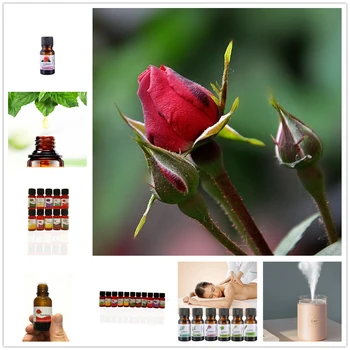 10ML Calla Lily Essential Oils Aromatherapy 100% Pure Basic Essential Oil for Regulate Endocrine Organic Body Spa Relax Massage
10ML Calla Lily Essential Oils Aromatherapy 100% Pure Basic Essential Oil for Regulate Endocrine Organic Body Spa Relax Massage
