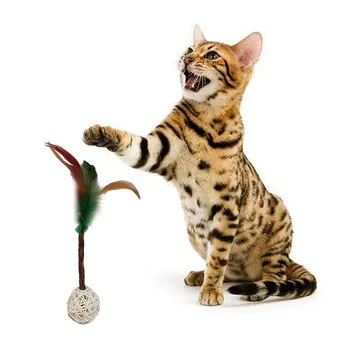 Cat Sounding Toy Fresh Breathable Molar Teeth Wooden Tendon Sepak Takraw Feather Toy Interactive Cat Training Toys Pet Supply
Cat Sounding Toy Fresh Breathable Molar Teeth Wooden Tendon Sepak Takraw Feather Toy Interactive Cat Training Toys Pet Supply
