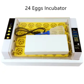 Automatic Incubator Brooder Farm Hatchery Machine 24 Egg Chicken Duck Goose Bird Pigeon Quail Brooder Animal Husbandry
Automatic Incubator Brooder Farm Hatchery Machine 24 Egg Chicken Duck Goose Bird Pigeon Quail Brooder Animal Husbandry