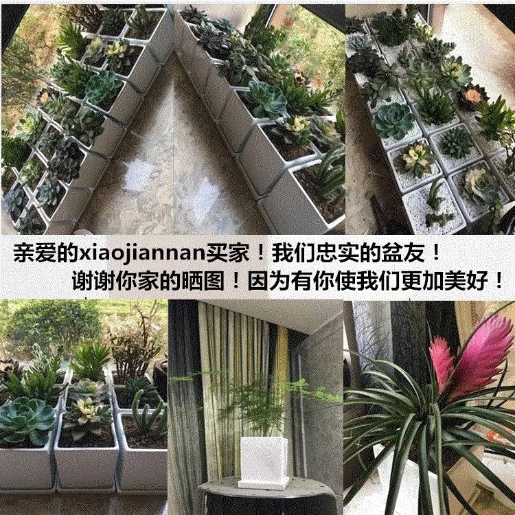 Large Ceramic Succulent Plant Rectangular Flower Pot P