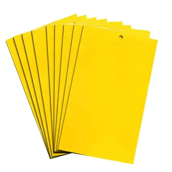 Economic Yellow Board Pest Killer Strong Flies Traps Double Side Fly Trap GnatsLeaf Yard Convenient 20pcs Outdoor Aphids
Economic Yellow Board Pest Killer Strong Flies Traps Double Side Fly Trap GnatsLeaf Yard Convenient 20pcs Outdoor Aphids