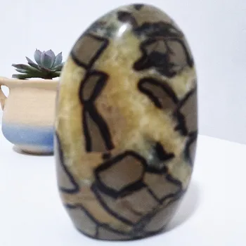 1pc natural Septarian stone crystals Desk display arrangement Beautiful Home decoration turtle shell stone yellow crystals
1pc natural Septarian stone crystals Desk display arrangement Beautiful Home decoration turtle shell stone yellow crystals