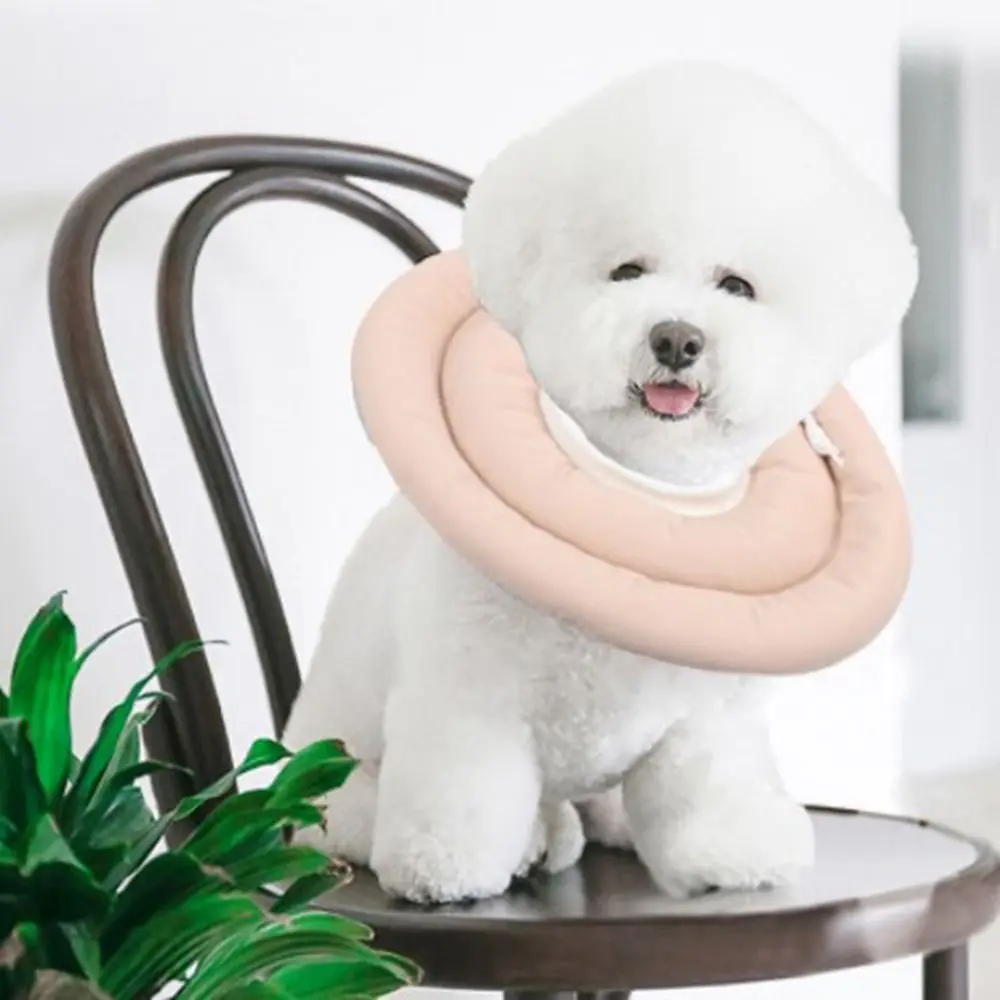 for Dogs Cats Anti-bite E-Collar Wound Healing for Kitten Puppy Pet Supplies Cat Collar Recovery Circle Dog Collars
for Dogs Cats Anti-bite E-Collar Wound Healing for Kitten Puppy Pet Supplies Cat Collar Recovery Circle Dog Collars