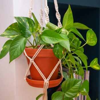 4PCS Bohemian Hand-woven Wall Hanging Net Bag Wall Hanging Potted Wall Hanging Basket With Hook 4*S Hook Woven Net Bag Manual
4PCS Bohemian Hand-woven Wall Hanging Net Bag Wall Hanging Potted Wall Hanging Basket With Hook 4*S Hook Woven Net Bag Manual