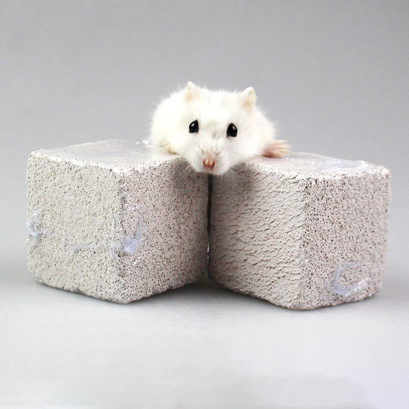 Hamster Molar Stone Volcanic Natural Mineral Rabbit Chinchilla Guinea Pig Molar Teeth Dental Care Chew Toy Small Pets Supplies
Hamster Molar Stone Volcanic Natural Mineral Rabbit Chinchilla Guinea Pig Molar Teeth Dental Care Chew Toy Small Pets Supplies