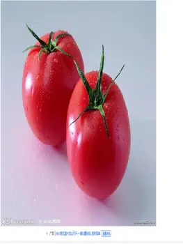 3w-ceshitest5555
3w-ceshitest5555