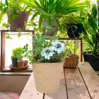 50/100pcs Nursery Pots Biodegradable Paper Pulp Peat Pots Plant Nursery Cup Tray Garden Propagation Container
50/100pcs Nursery Pots Biodegradable Paper Pulp Peat Pots Plant Nursery Cup Tray Garden Propagation Container