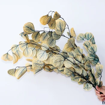 Apple Shape Leaves Real and Natrual Eucalyptus Bouquet Eternal Dried Flower for Wedding Home Decoration accessories Display Plan
Apple Shape Leaves Real and Natrual Eucalyptus Bouquet Eternal Dried Flower for Wedding Home Decoration accessories Display Plan