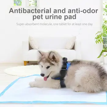 Puppy Pee Mats Dog Urine Pad Disposable Non-Woven Cat Pet Indoor Convenient Antibacterial Pet Training Pads Diaper Deodorant
Puppy Pee Mats Dog Urine Pad Disposable Non-Woven Cat Pet Indoor Convenient Antibacterial Pet Training Pads Diaper Deodorant