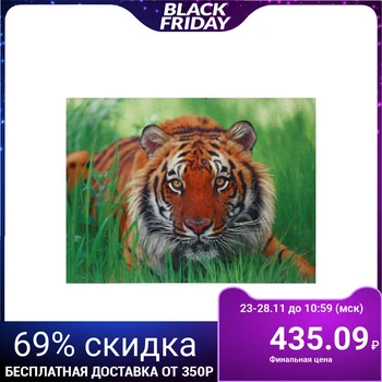 Painting "Tiger" 30 * 40 cm 5170641
Painting "Tiger" 30 * 40 cm 5170641