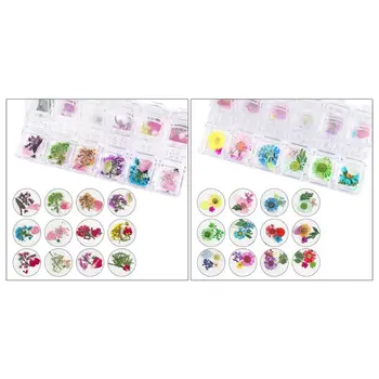 12Grid/Box Crystal Epoxy Filler Dry Flower Mixed Nail Stickers Decorations Craft L4ME
12Grid/Box Crystal Epoxy Filler Dry Flower Mixed Nail Stickers Decorations Craft L4ME