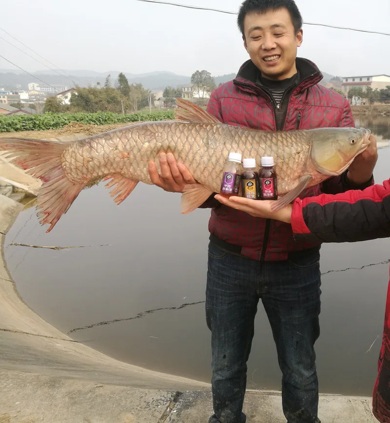 Had Small Mad Pull Grass Carp Additive Grass Carp Small Yue Summer China Carp Black Pit Fishing Angling
Had Small Mad Pull Grass Carp Additive Grass Carp Small Yue Summer China Carp Black Pit Fishing Angling