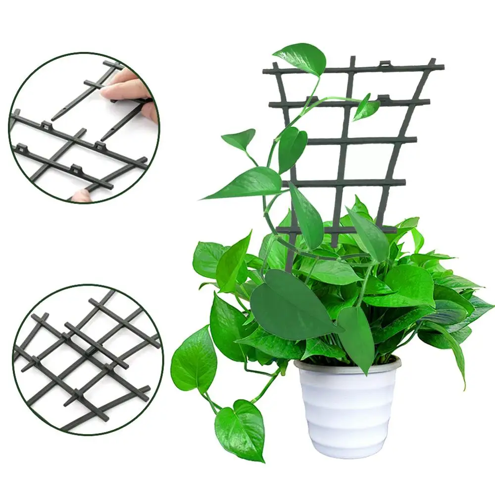 10pcs Plant Climbing Bracket Flower Cucumber Plants Landing Frame Support Mesh Vine Trellis Netting Net Plant Net Flower Stand
10pcs Plant Climbing Bracket Flower Cucumber Plants Landing Frame Support Mesh Vine Trellis Netting Net Plant Net Flower Stand