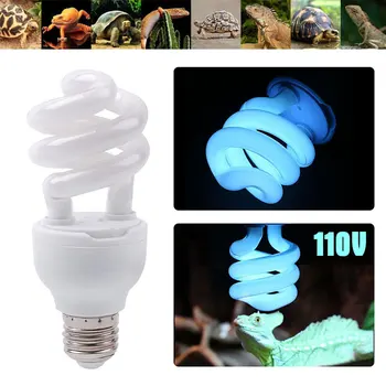 Screw Compressed Light 110V Bulb Ultraviolet Reptiles Bulb Energy Saving Lamp UVB10.0 UVB5.0 Dragon Lizard Calcium Turtle
Screw Compressed Light 110V Bulb Ultraviolet Reptiles Bulb Energy Saving Lamp UVB10.0 UVB5.0 Dragon Lizard Calcium Turtle