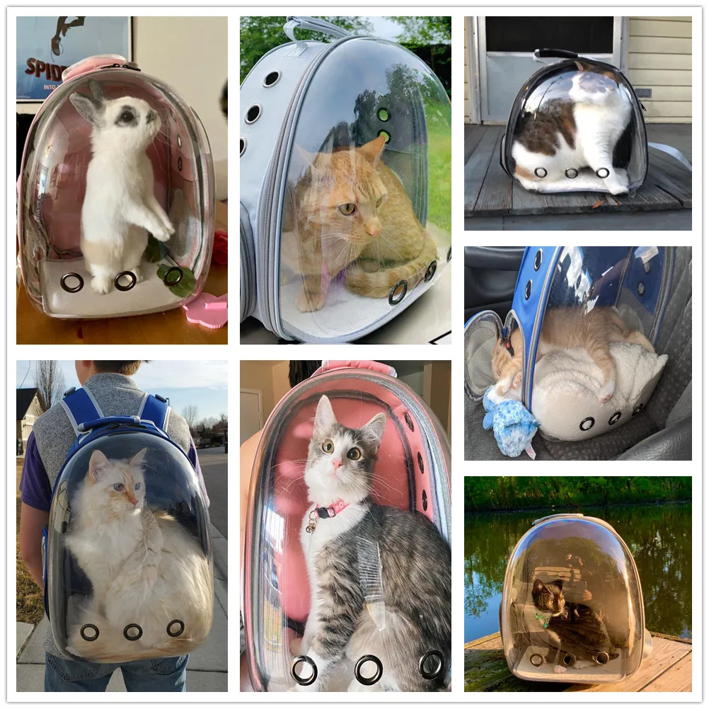 cat carrier bag