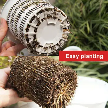 1pc Plastic Orchid Pot With Holes Double Layers Creative Planter Controlling Garden Pot Pot Technology Container Root Flowe I7N8
1pc Plastic Orchid Pot With Holes Double Layers Creative Planter Controlling Garden Pot Pot Technology Container Root Flowe I7N8