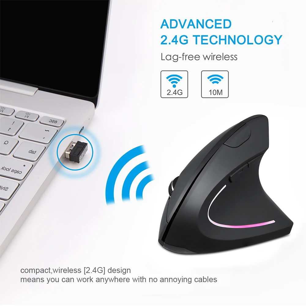 computer mouse.jpg computer mouse.jpg