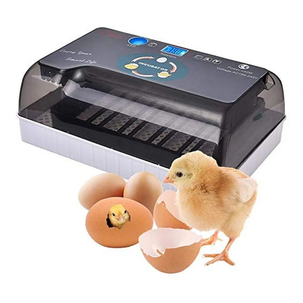 Chicken Egg Incubator Automatic Chicken Goose Duck pigeon Quail Turning Incubators Machine Hatchery For Hatching Eggs Machines
Chicken Egg Incubator Automatic Chicken Goose Duck pigeon Quail Turning Incubators Machine Hatchery For Hatching Eggs Machines