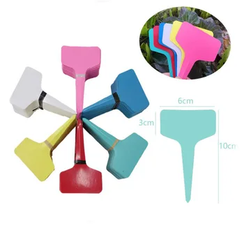 200pcs Garden Labels gardening plant classification sorting sign tag ticket plastic writing plate board Plug in card 6 Colors
200pcs Garden Labels gardening plant classification sorting sign tag ticket plastic writing plate board Plug in card 6 Colors