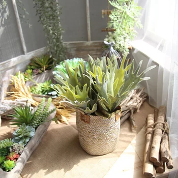 Artificial Antler Leaf Fake Flocking Deer Horn Plant Plastic Greenery for Green Wall Decoration Grass
Artificial Antler Leaf Fake Flocking Deer Horn Plant Plastic Greenery for Green Wall Decoration Grass
