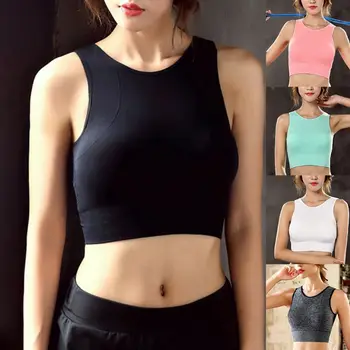 Women Seamless High Impact Sports Bra with Removable Cups Lady Workout Fitness Vest Sexy Back Cutout Activewear Underwear
Women Seamless High Impact Sports Bra with Removable Cups Lady Workout Fitness Vest Sexy Back Cutout Activewear Underwear