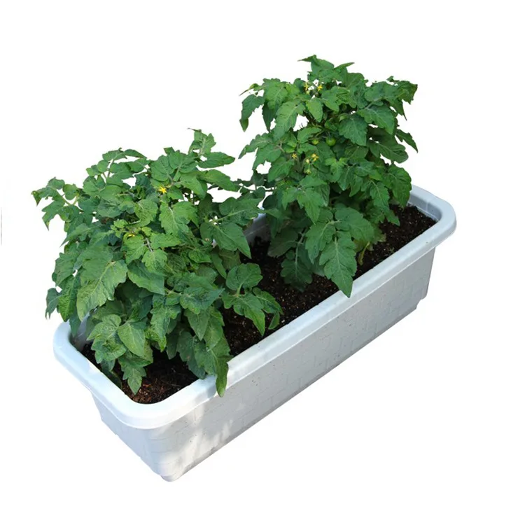 Extra Large Planting Basin Balcony Vegetables And Fruits zhang tiao pen Rectangular Resin Plastic Large Flower Pot 2061 Medium
Extra Large Planting Basin Balcony Vegetables And Fruits zhang tiao pen Rectangular Resin Plastic Large Flower Pot 2061 Medium