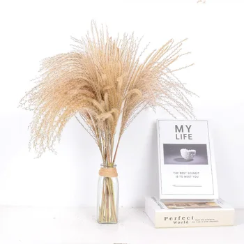 50pcs Real grassland Dried Small Pampas Grass Wedding Flower Bunch Natural Plants Decor Home Decor Dried Flowers
50pcs Real grassland Dried Small Pampas Grass Wedding Flower Bunch Natural Plants Decor Home Decor Dried Flowers