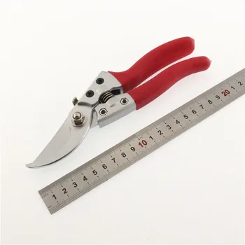 The Bird's Beak Plastic+Stainless Steel Elbow Coarse branches Gardening Scissors Hand Tools
The Bird's Beak Plastic+Stainless Steel Elbow Coarse branches Gardening Scissors Hand Tools