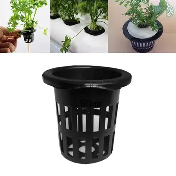 Soilless Cultivation Planting Basket 20baskets + 20labels Fixing Plant Label Heavy Load Filter Plant Net Bucket Basket Set
Soilless Cultivation Planting Basket 20baskets + 20labels Fixing Plant Label Heavy Load Filter Plant Net Bucket Basket Set