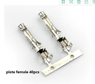 xi female