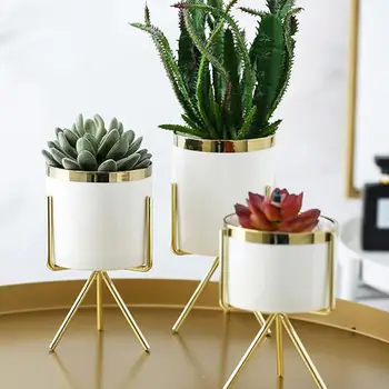 Nordic Style Ceramic Flower Pot Planter Iron Frame Plant Holder Green Plant Flower Pot Desk Office Decoration Ornament
Nordic Style Ceramic Flower Pot Planter Iron Frame Plant Holder Green Plant Flower Pot Desk Office Decoration Ornament