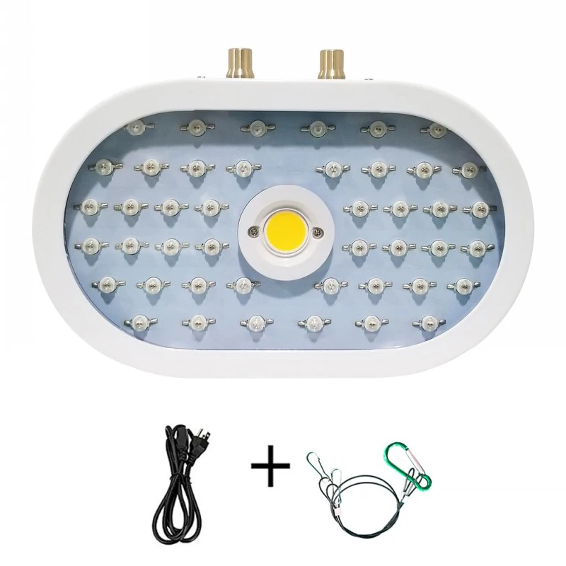 1100 W Oval Plant Lamp Hydroponic Indoor Flower Vegetables LED Full Light Greenhouse Spectrum Grow Light Plug AU/EU/UK/US
1100 W Oval Plant Lamp Hydroponic Indoor Flower Vegetables LED Full Light Greenhouse Spectrum Grow Light Plug AU/EU/UK/US