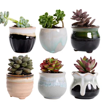 6pcs Creative Ceramic Succulent Plant Flower Pot Variable Flow Glaze for Home Room Office without Plant
6pcs Creative Ceramic Succulent Plant Flower Pot Variable Flow Glaze for Home Room Office without Plant