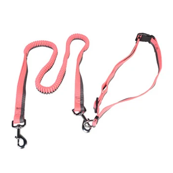 7PCS / LOT Nylon Noctilucent Running Buffer Belt Pet Leash Dog Leash Walking Dog Training Rope
7PCS / LOT Nylon Noctilucent Running Buffer Belt Pet Leash Dog Leash Walking Dog Training Rope