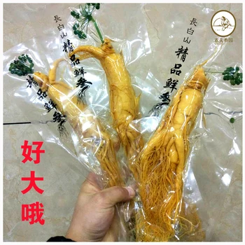 Chang bai Fresh Ginseng Root 300g top Grade Vacuum Pack Panax ginseng Root 8 Years Old Herbal skin care beauty use 
Chang bai Fresh Ginseng Root 300g top Grade Vacuum Pack Panax ginseng Root 8 Years Old Herbal skin care beauty use