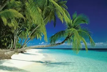 New Maldives Beach and Sea Palm Trees on a Tropical Island Paradise Art print Silk poster Home Wall Decor
New Maldives Beach and Sea Palm Trees on a Tropical Island Paradise Art print Silk poster Home Wall Decor