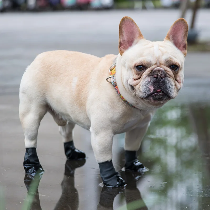 4Pcs/set Stylish Pet Dogs Winter Shoes Rain Snow Waterproof Booties Socks Rubber Anti-slip Shoes For Small Dog Puppies Footwear
4Pcs/set Stylish Pet Dogs Winter Shoes Rain Snow Waterproof Booties Socks Rubber Anti-slip Shoes For Small Dog Puppies Footwear