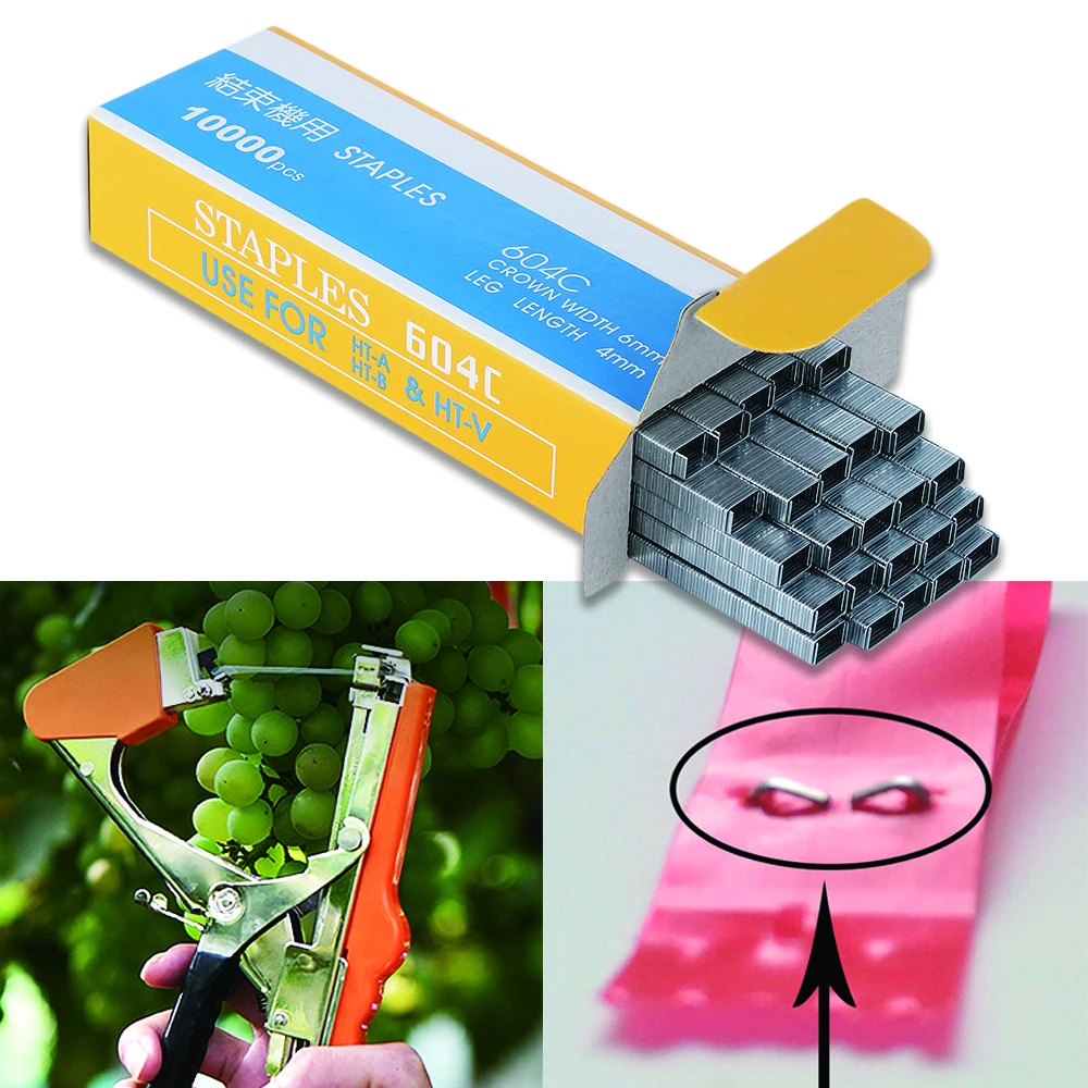 10000pc/pack 604C Tape Nail Staples Pin Vines Machine Plant Branch Tying Professional Tie Branch Tools Connect Garden Clip Pins
10000pc/pack 604C Tape Nail Staples Pin Vines Machine Plant Branch Tying Professional Tie Branch Tools Connect Garden Clip Pins