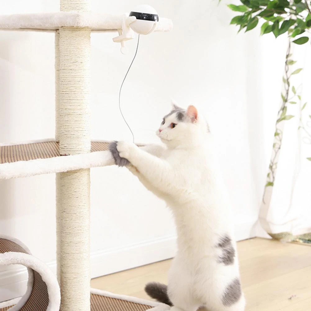 Funny Cat Teasing Toy Lifting Ball Electric Trembling Rotating Interactive Puzzle Pet Supplies Pet Toy
Funny Cat Teasing Toy Lifting Ball Electric Trembling Rotating Interactive Puzzle Pet Supplies Pet Toy