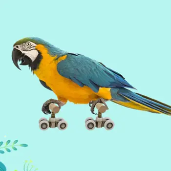 2 Pcs Parrot Trick Tabletop Mini Roller Ice Skates for Small Medium Parrots Bird Intelligence Training Puzzle Toys
2 Pcs Parrot Trick Tabletop Mini Roller Ice Skates for Small Medium Parrots Bird Intelligence Training Puzzle Toys