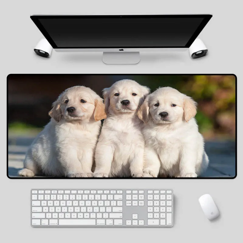 XGZ Exquisite animal mouse pad warm puppy three brothers series table pad computer office game essential keyboard pad
XGZ Exquisite animal mouse pad warm puppy three brothers series table pad computer office game essential keyboard pad
