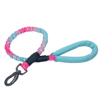 Pets Puppy Durable Leash For Dogs, 2 Handles For Extra Control, Dog Training Walking Leashes
Pets Puppy Durable Leash For Dogs, 2 Handles For Extra Control, Dog Training Walking Leashes