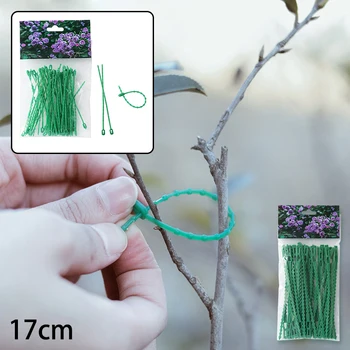 200 Bags Garden Plastic Plant Cable Ties Adjustable Tree Climbing Support Plastic Tying Flowers Organized The Wires
200 Bags Garden Plastic Plant Cable Ties Adjustable Tree Climbing Support Plastic Tying Flowers Organized The Wires