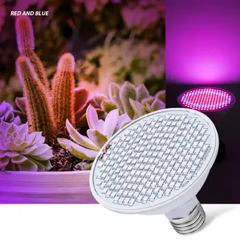 Grow Light Led E27 Phyto Lamp 60 126 200Leds Full Spectrum Led Plant Light Bulb 220V Indoor Plants Lamp For Greenhouse Lighting
Grow Light Led E27 Phyto Lamp 60 126 200Leds Full Spectrum Led Plant Light Bulb 220V Indoor Plants Lamp For Greenhouse Lighting
