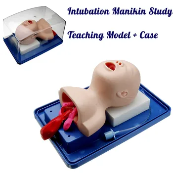 Intubation Manikin Study Teaching Model Baby Infant Airway Management Trainer Medical School Student Educational Supply
Intubation Manikin Study Teaching Model Baby Infant Airway Management Trainer Medical School Student Educational Supply